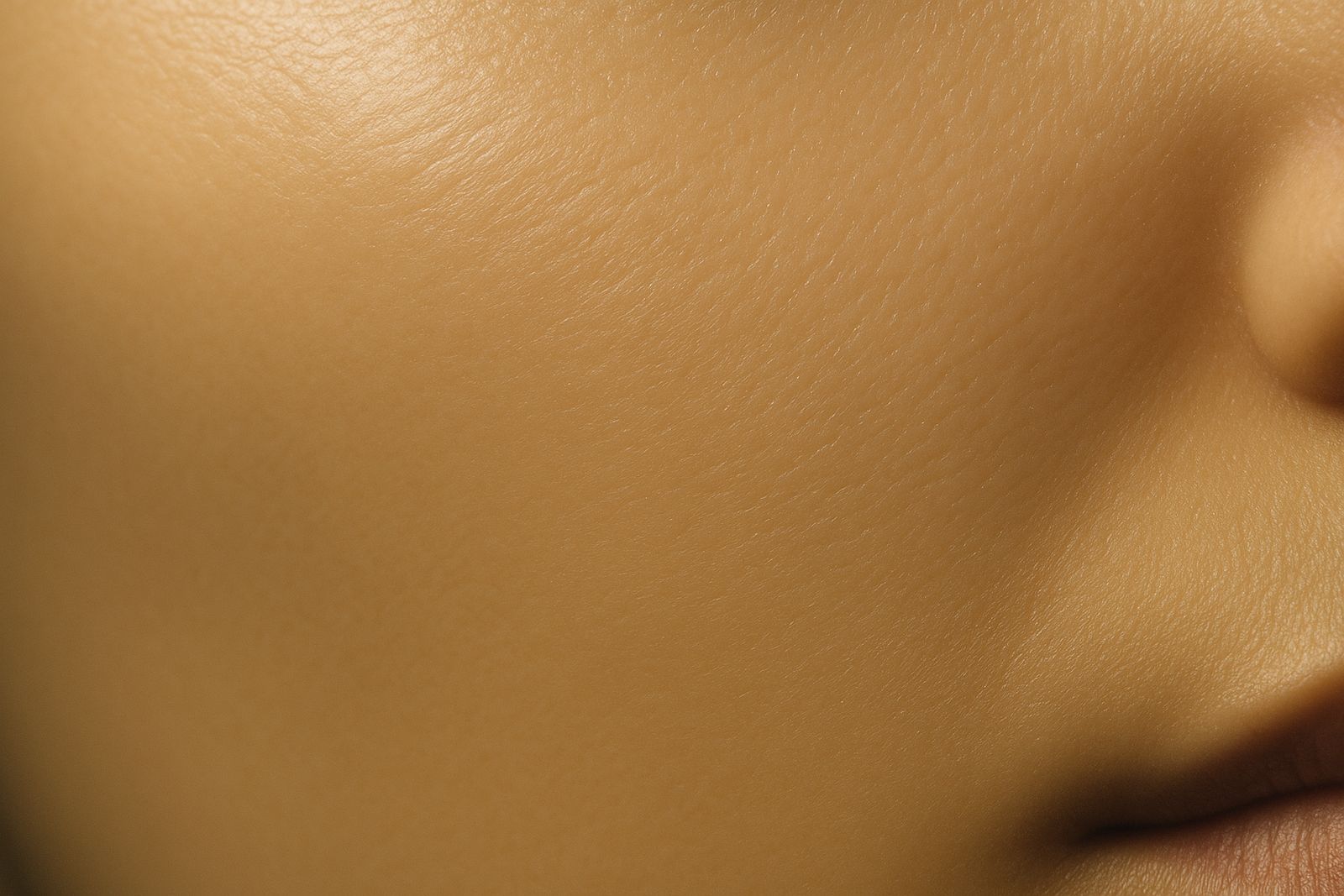 Macro of skin hours after the cream: smooth, holding water, no film sitting on top